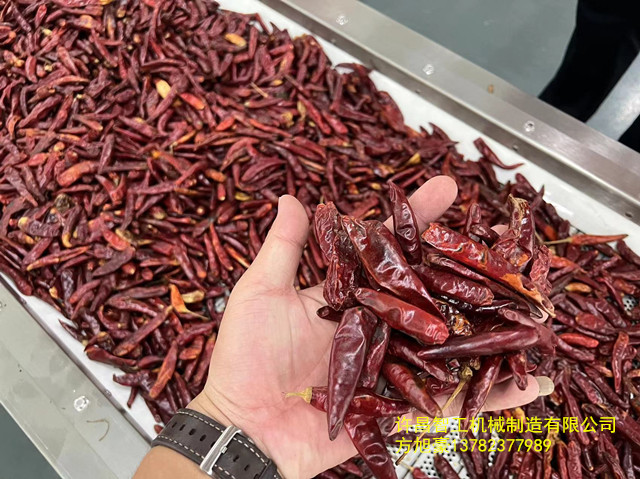 寰俊鍥剧墖_20230721160227.jpg 寰俊鍥剧墖_20230721160227.jpg